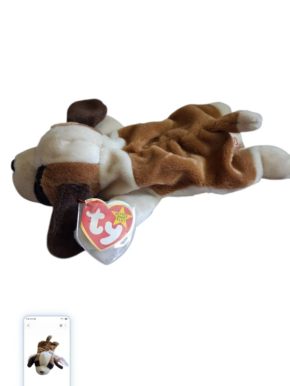 Ty Beanie Baby 'Bernie' Brown and White Puppy Plush